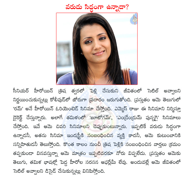 trisha,actress trisha,rum telugu movie,ms raju,trisha marriage  trisha, actress trisha, rum telugu movie, ms raju, trisha marriage